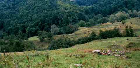 Naieni - Invitatie la drumetie